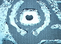 Pirelli Scorpion Ice Zero 2 (3)